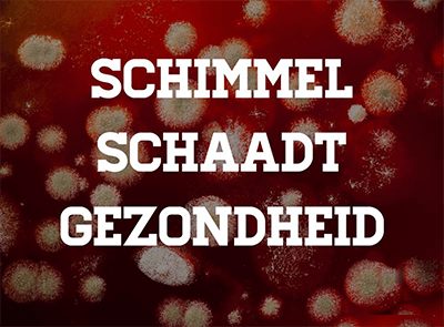 Schimmel