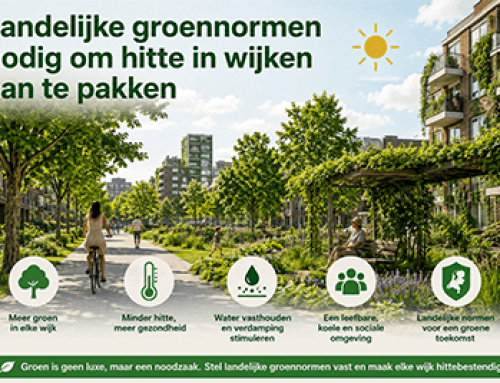 Landelijke groennormen nodig om hitte in wijken aan te pakken